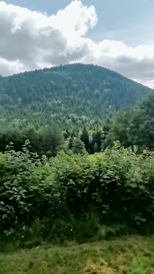 view from the property