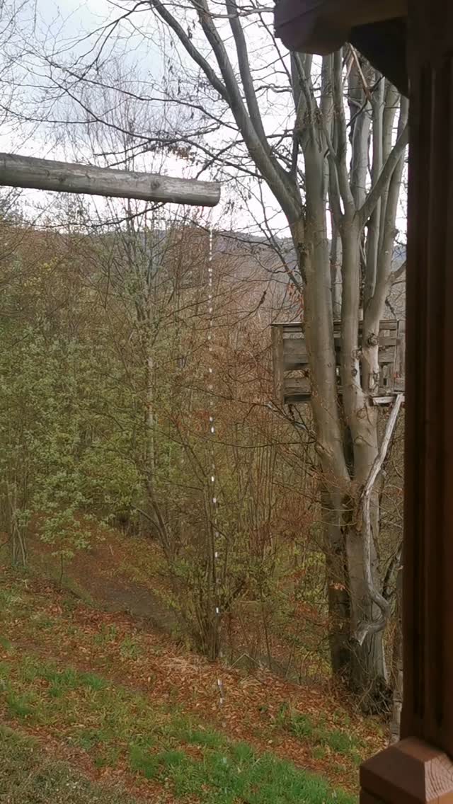 spring rain on the terrace